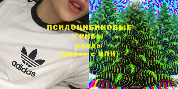 мдма Заводоуковск