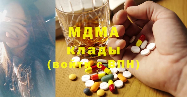 хмурый Ельня